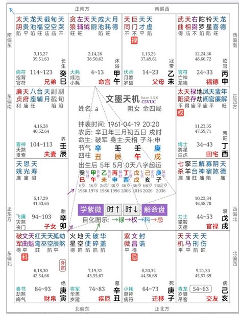 紫微斗数命盘_紫微斗数命盘解析,第15张